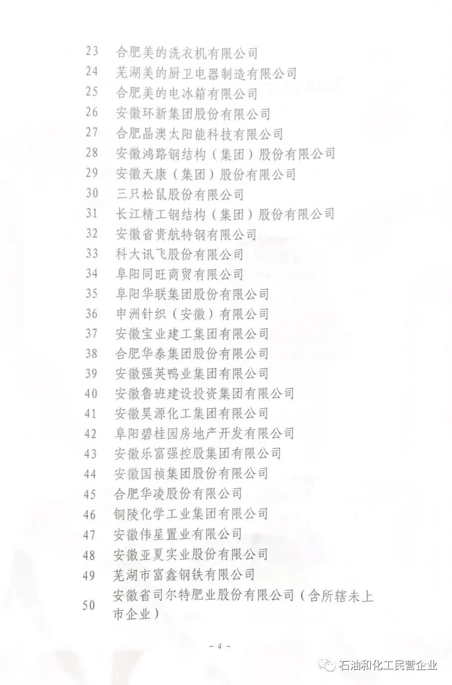 《2020安徽省民营企业百强（营收）榜单》