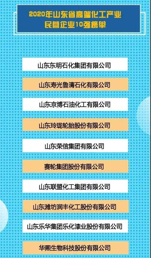 山东高端化工/新材料产业民营企业10强公布（附 民企百强榜单）